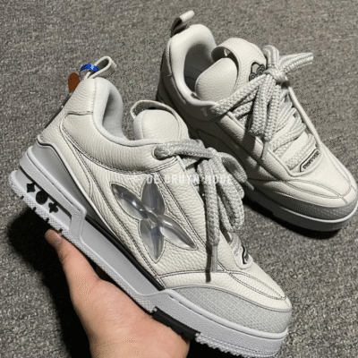 Louis Vuitton SKATE Gray